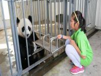 Dujiangyan Panda Base  Chengdu