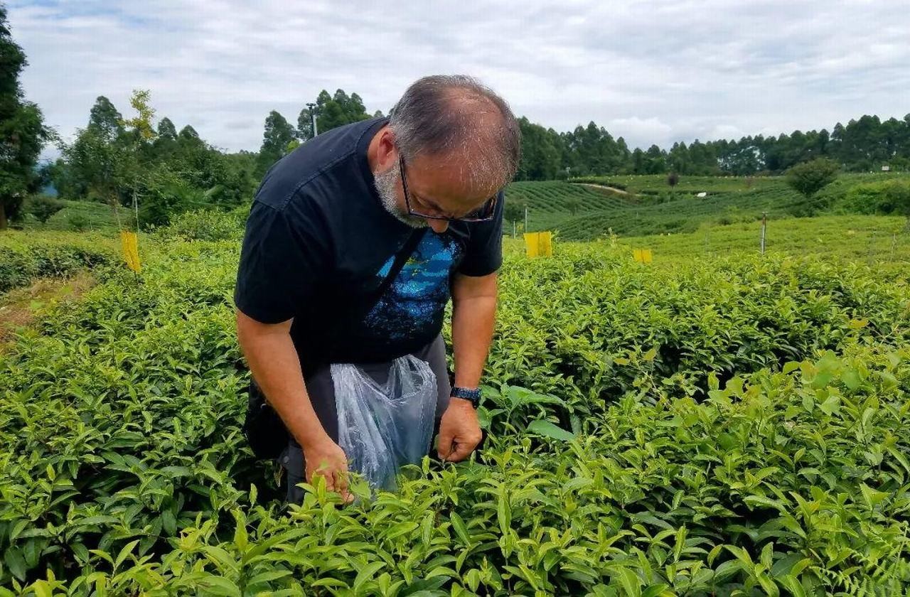 2-day Bifengxia Panda and Mengding Mountain Tea Tour