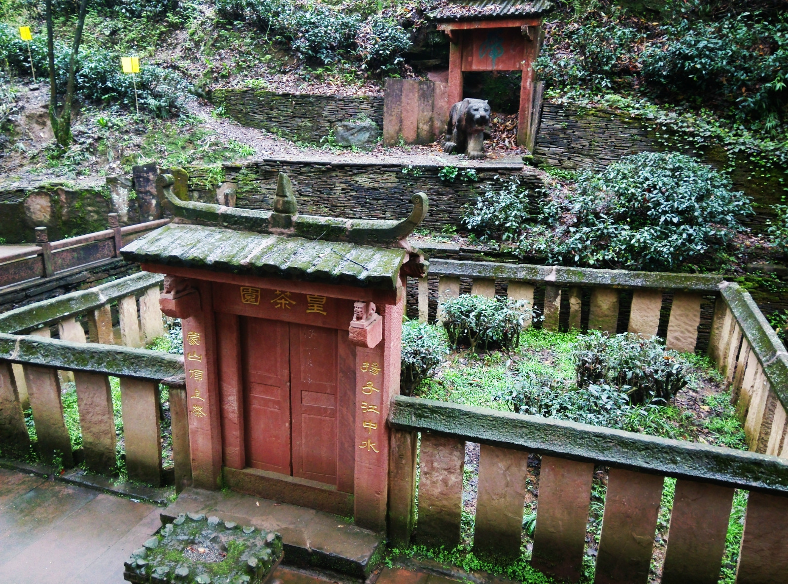 Mount Mengding - Royal Tea Garden