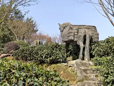 Niunianping Ecological Tea Plantation 