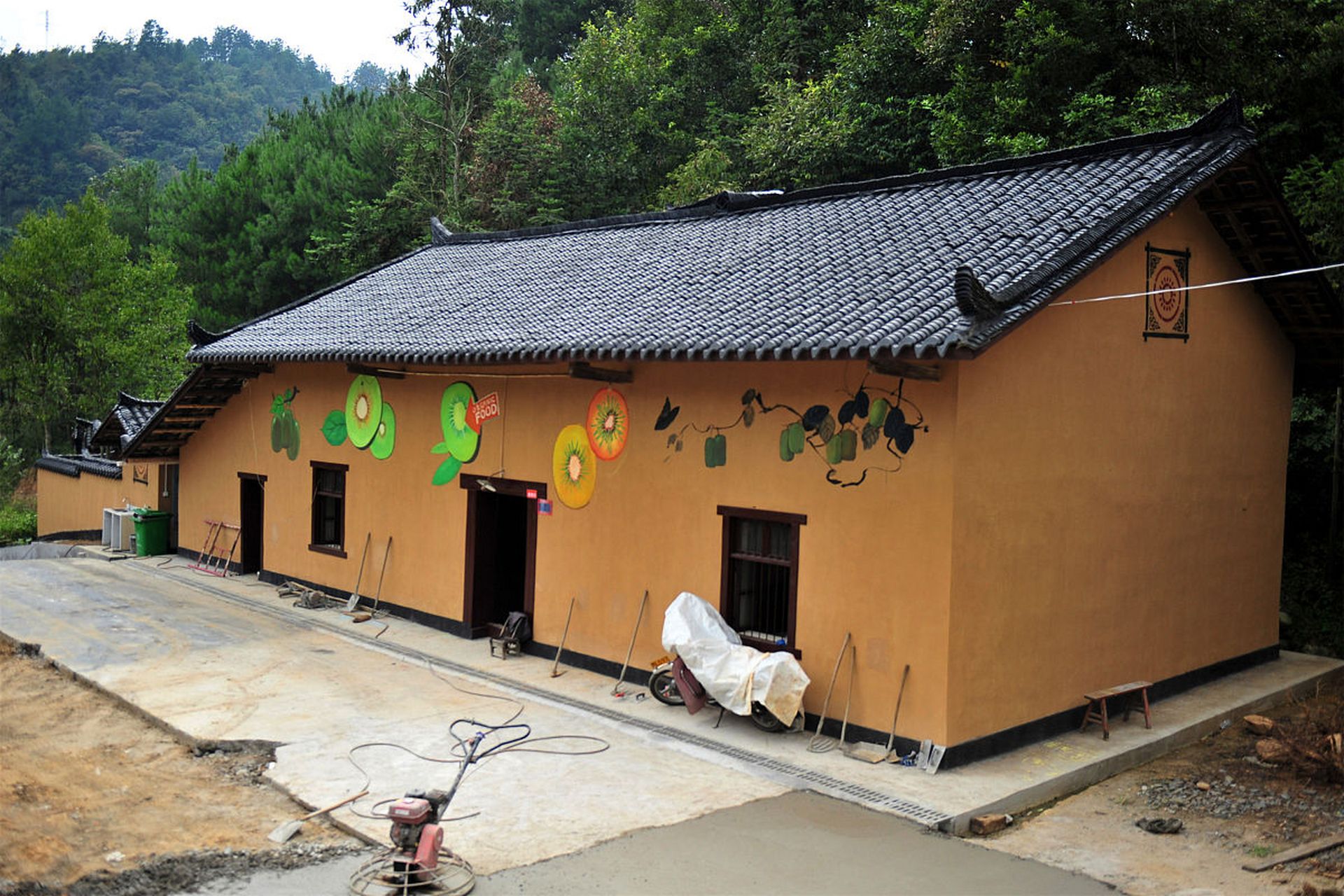 Niunianping Ecological Tea Plantation 