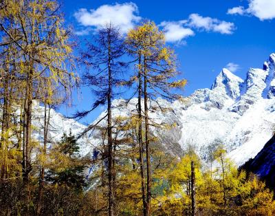 Bi Peng Gou Valley 