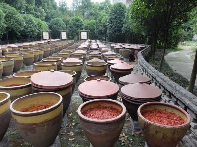 Chengdu Chuancai Museum