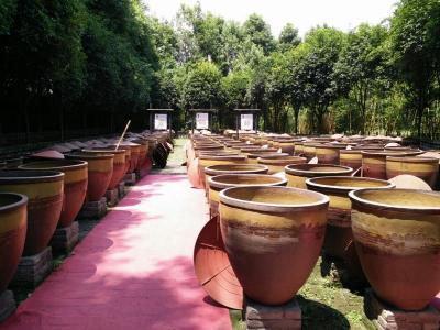 Chengdu Chuancai Museum
