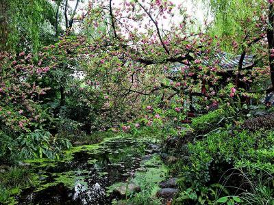 Chengdu People's Park