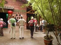 Tour Chengdu Panda Base