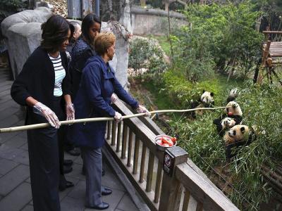 Chengdu Research Base of Giant Panda Breeding