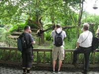 Visit Chengdu Panda Center
