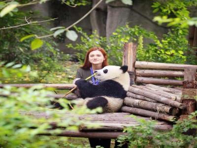 Chengdu Panda Holding