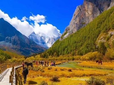 Luorong Pasture in Daocheng Yading 