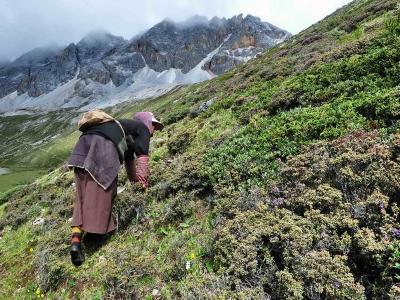 Daocheng Yading 