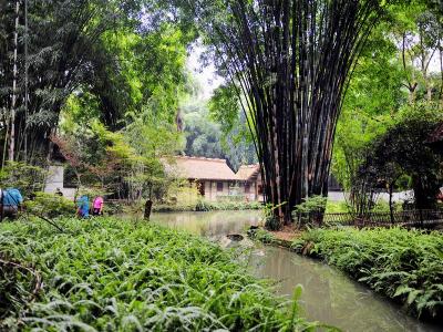 Dufu Thatched Cottage