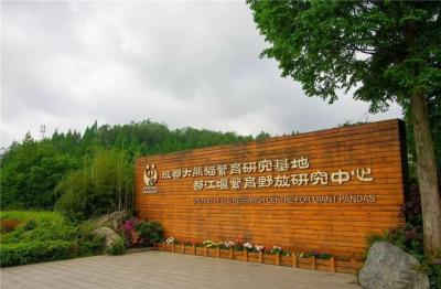 Dujiangyan Panda Valley