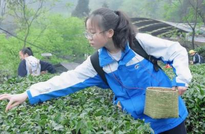 Mengding Mountain