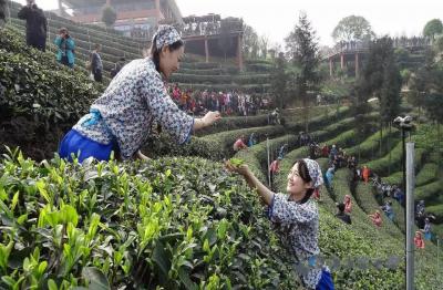 Mengding Mountain