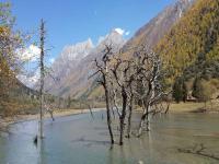Shuangqiao Valley Mount Siguniang China