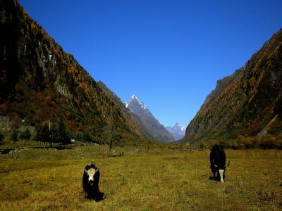 Mount Siguniang