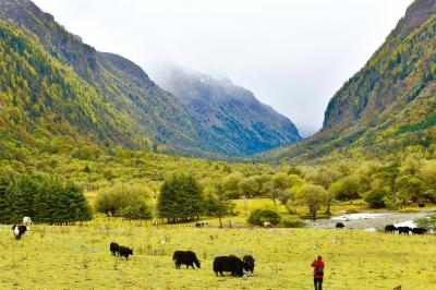 Haizigou Valley in Mount Siguniang
