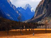 Shuangqiao Valley Mount Siguniang