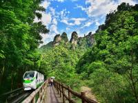 Ten Mile Natural Gallery Zhangjiajie