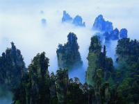 Tianzi Mountain