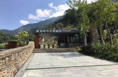 Wolong Shengshuping Panda Base