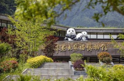 Wolong Giant Panda Museum 