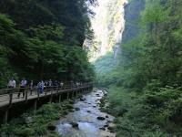 Zhangjiajie Grand Canyon